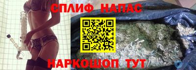 кокс Кингисепп
