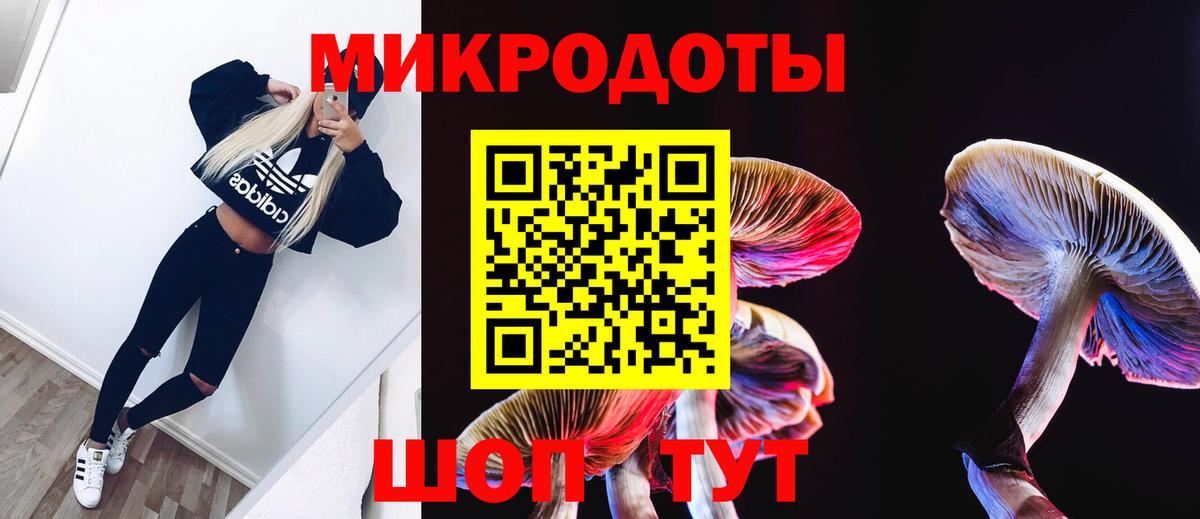 Галлюциногенные грибы Magic Shrooms  Вход с VPN  Галлюциногенные грибы Magic Shrooms  как найти закладки  Вичуга 